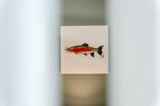 Ferienpark Sierksdorf Baywatch Sierksdorf - 