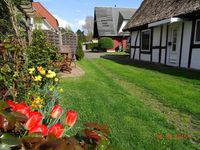  Hägerende "Alte Liebe" zfw/107 Mecklenburg-Vorpommern - 