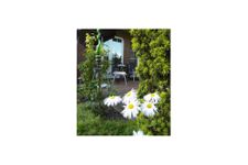  Ferienwohnung Mühlenblick 30 Whg. 2 Carolinensiel - 