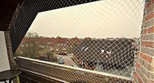  Ferienwohnung Am Seestern 6 Carolinensiel - 