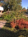 Haus Friesentraum Wohnung Nr. 5 u. 6 Tide Werdum - 