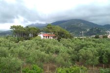 Main view