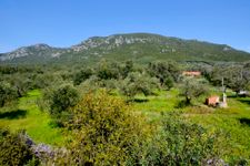 Landschaft