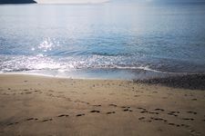 Beach Sadova