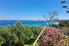 Gartenblick