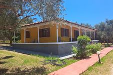 Main view