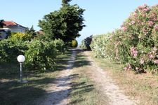 Neighbourhood