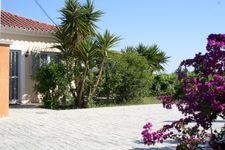 Main view