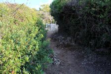 Beach access