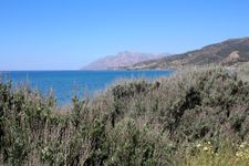 Landschaft