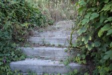 Weg zum Strand