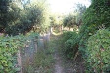 Weg zum Strand