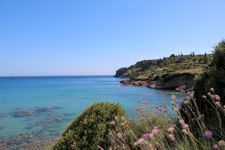Ammoudi