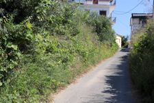 Access road