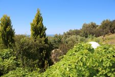 Landschaft