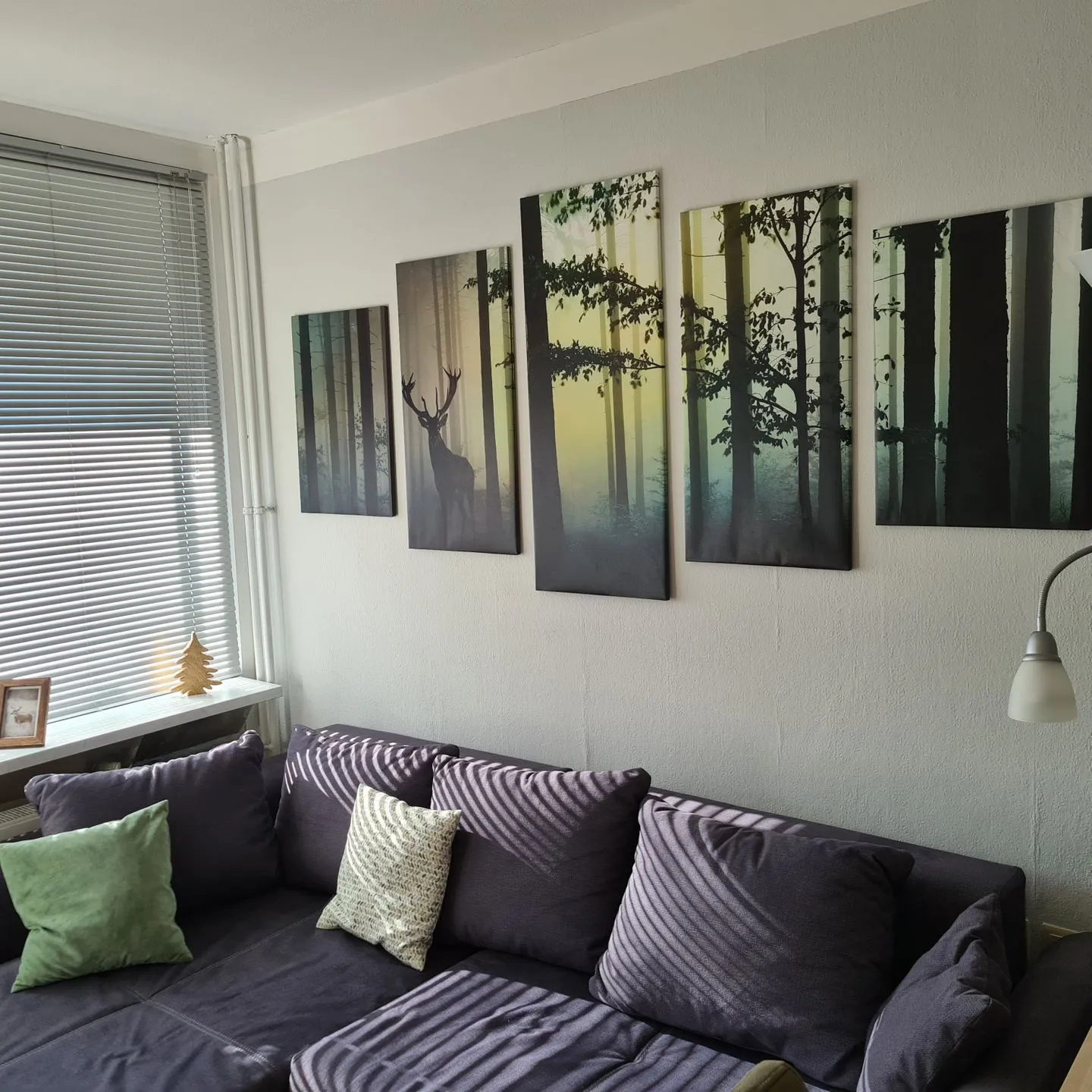 Appartement 7/101 Hahnenklee -
