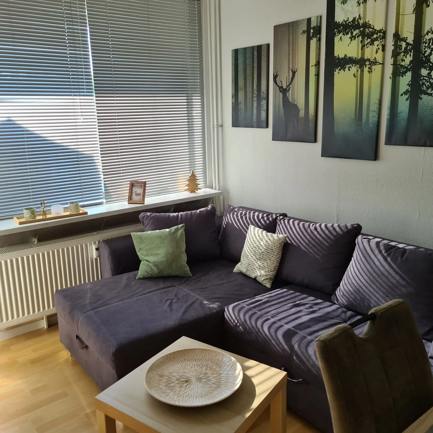 Appartement 7/101 Hahnenklee -