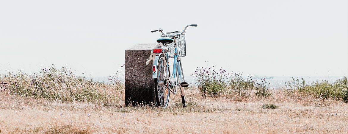 Fahrrad fahren auf dem Fischland-Darß-Zingst
