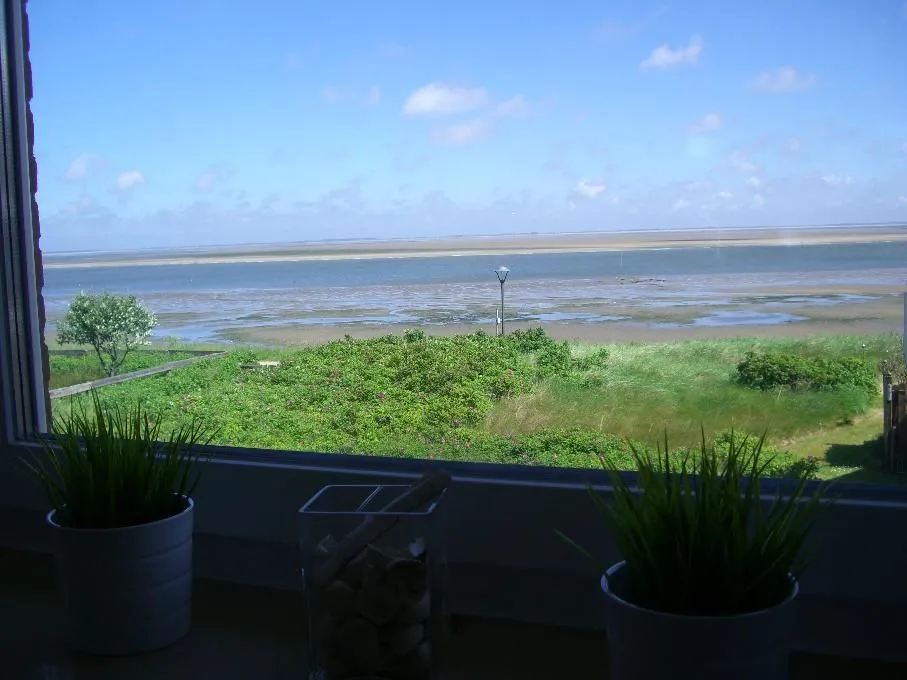 Ferienwohnung *Jessen´s Wattblick* Wittdün auf Amrum - Ausblick auf das Wattenmeer von der Ferienwohnung Jessen´s Wattblick in Wittdün auf Amrum