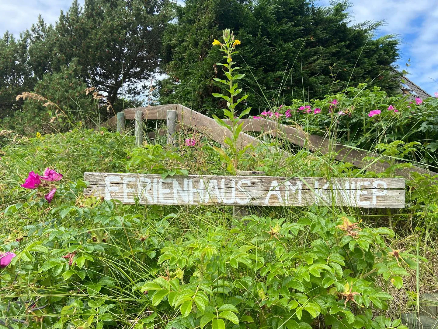 Ferienhaus am Kniep Wittdün auf Amrum -