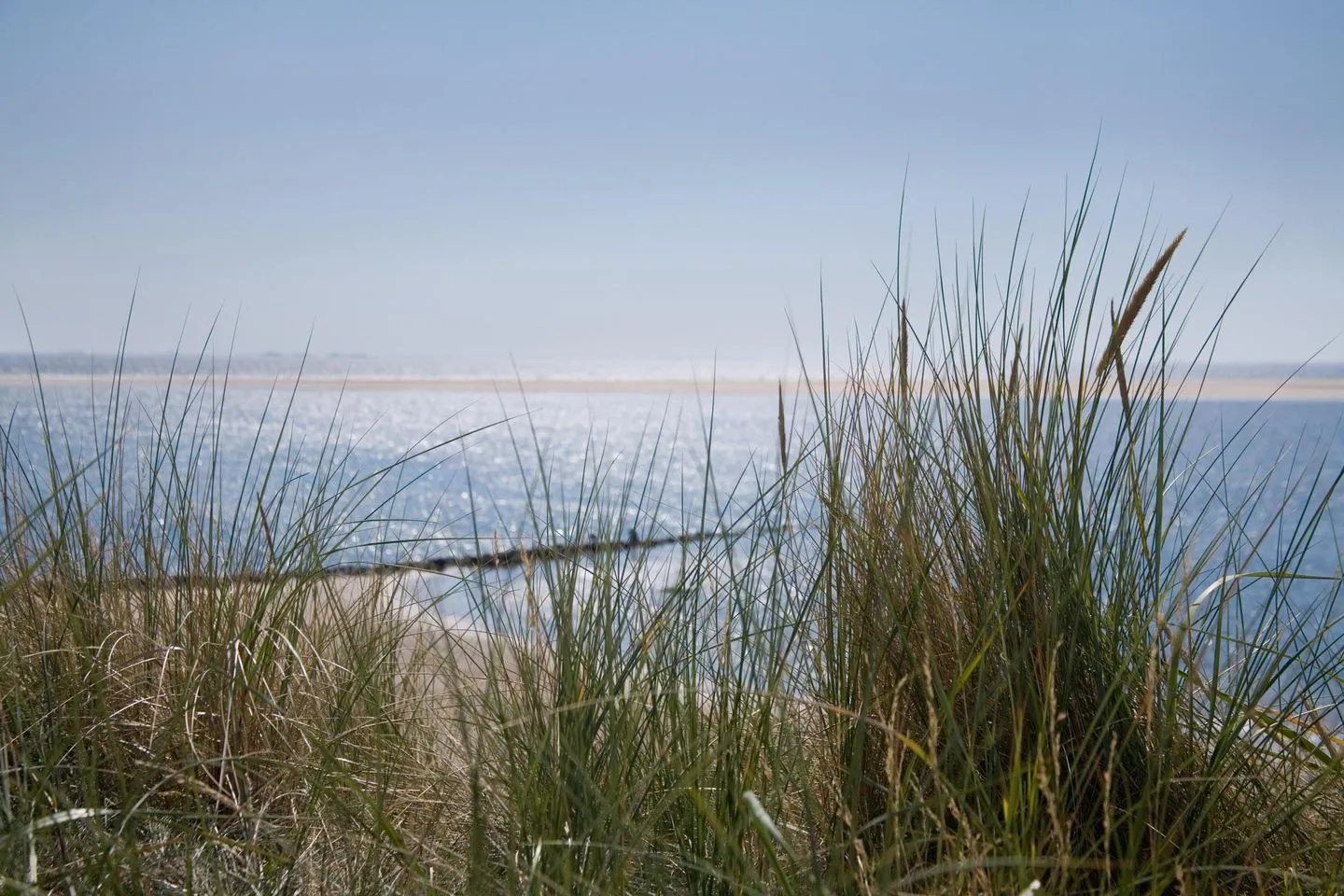 Amrumer Welle Ferienwohnung „Aalto" Wittdün auf Amrum - Meerblick aus der Ferienwohnung Aalto in Wittdün auf Amrum
