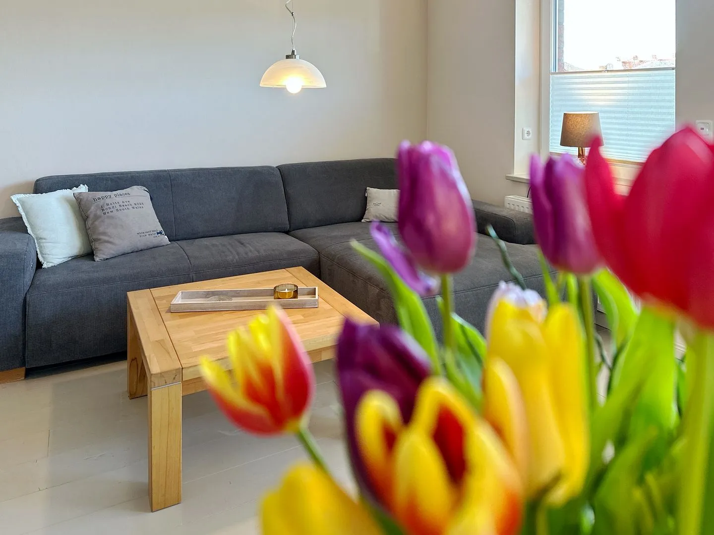 Ferienwohnung *Ose* Wittdün auf Amrum - Wohnzimmer in der Ferienwohnung Ose in Wittdün auf Amrum
