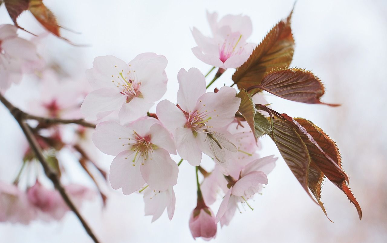 Angebote Frühling