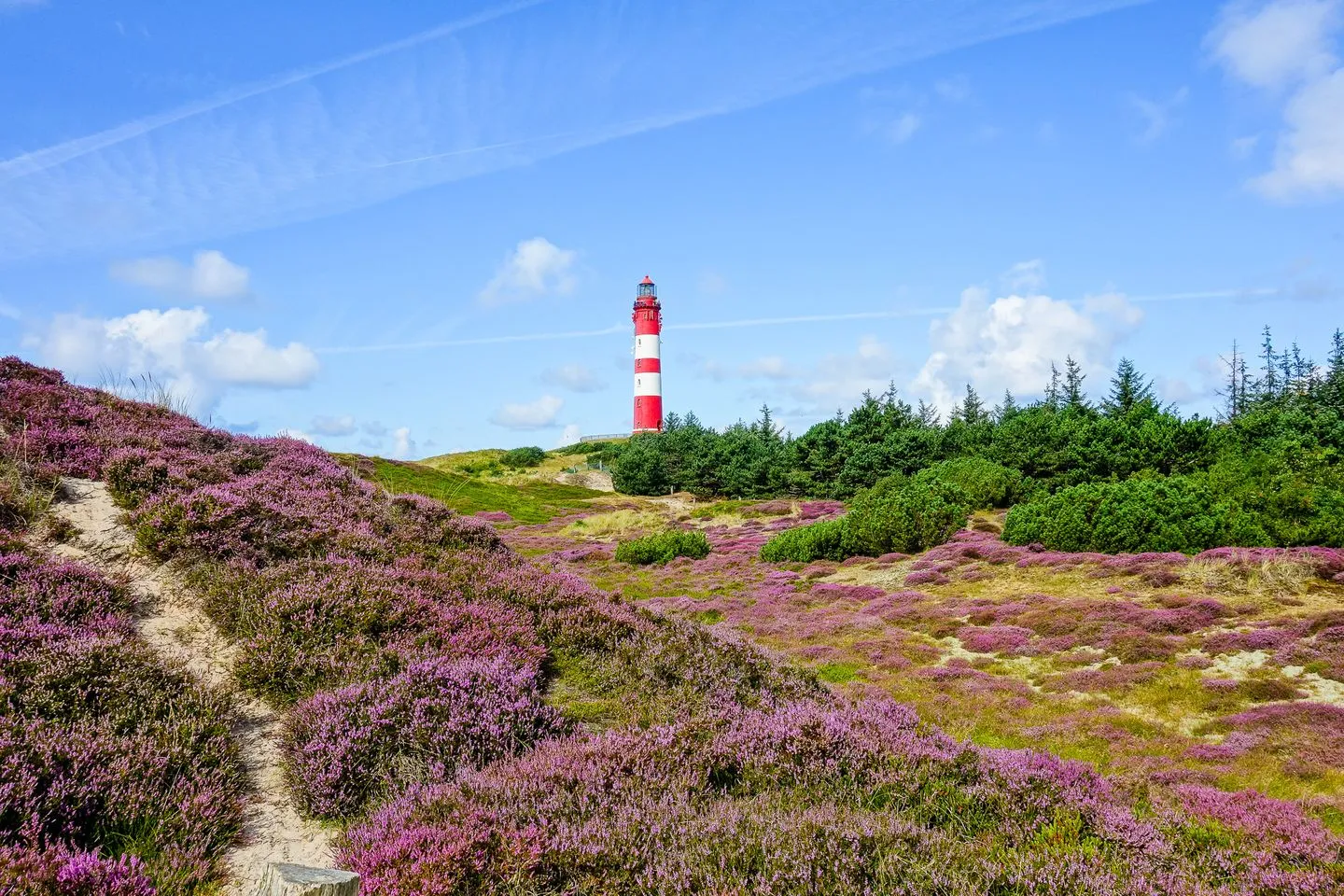Haus Nordlicht Ferienwohnung *At Nuurdlacht* Nebel auf Amrum - Landschaft