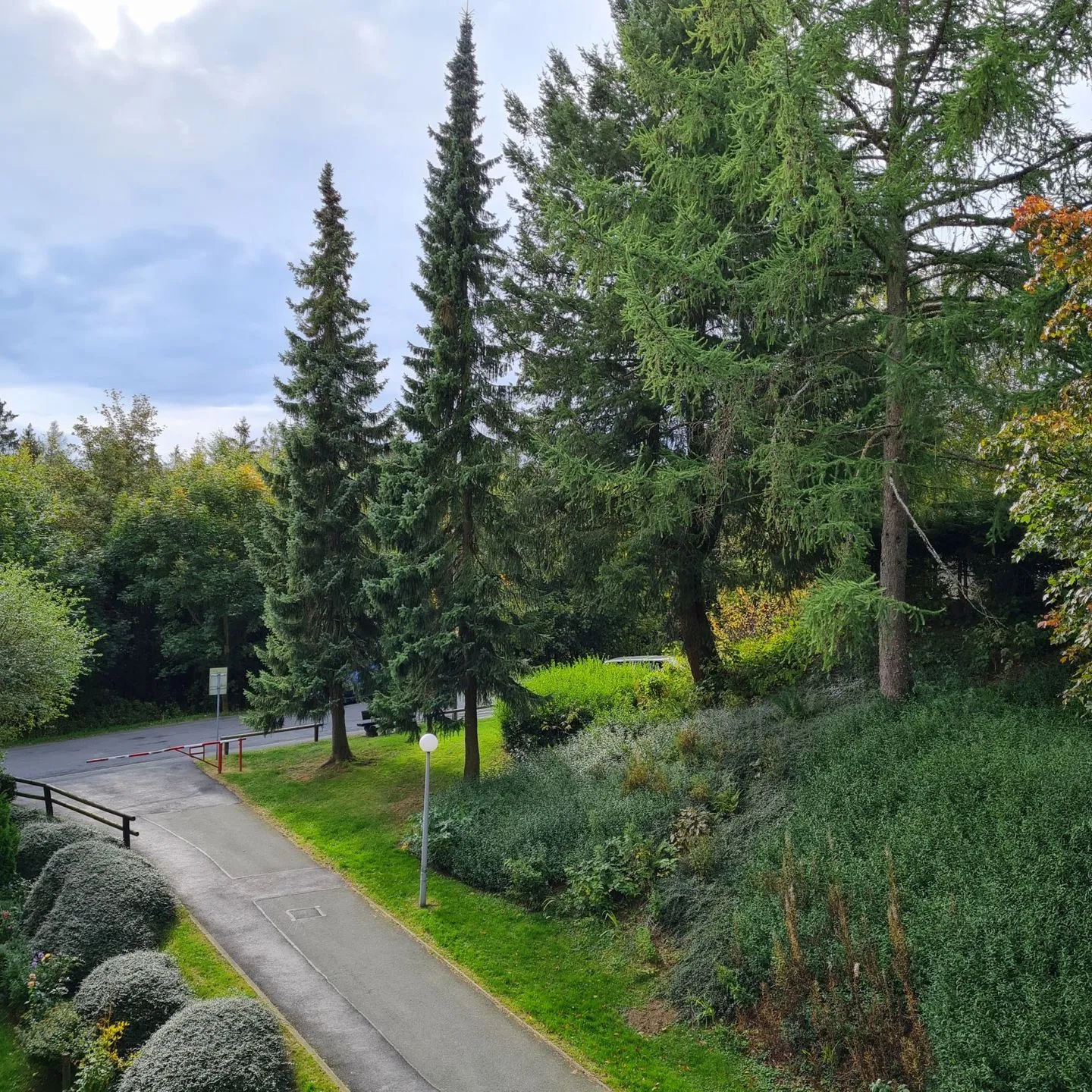 Apartment 3/ 312 Hahnenklee - Gartenblick
