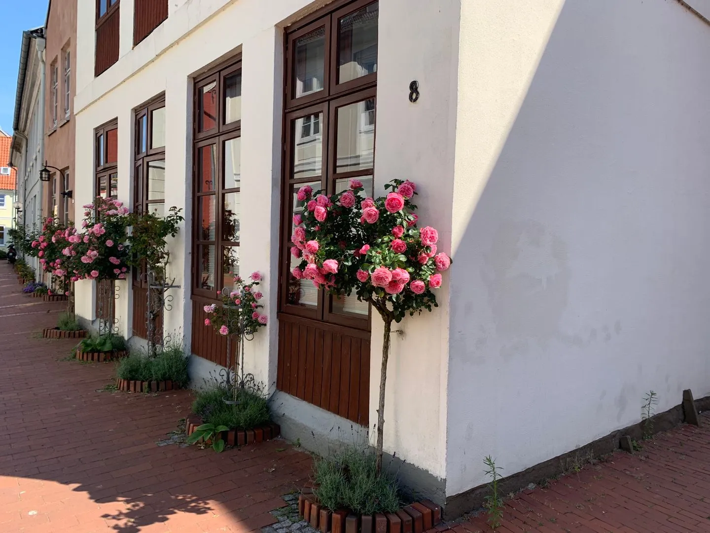 Charmantes Apartment Thor in zentraler Lage in Schleswig Schleswig -