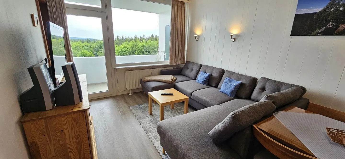 App. 546 Hahnenklee - Wohnzimmer