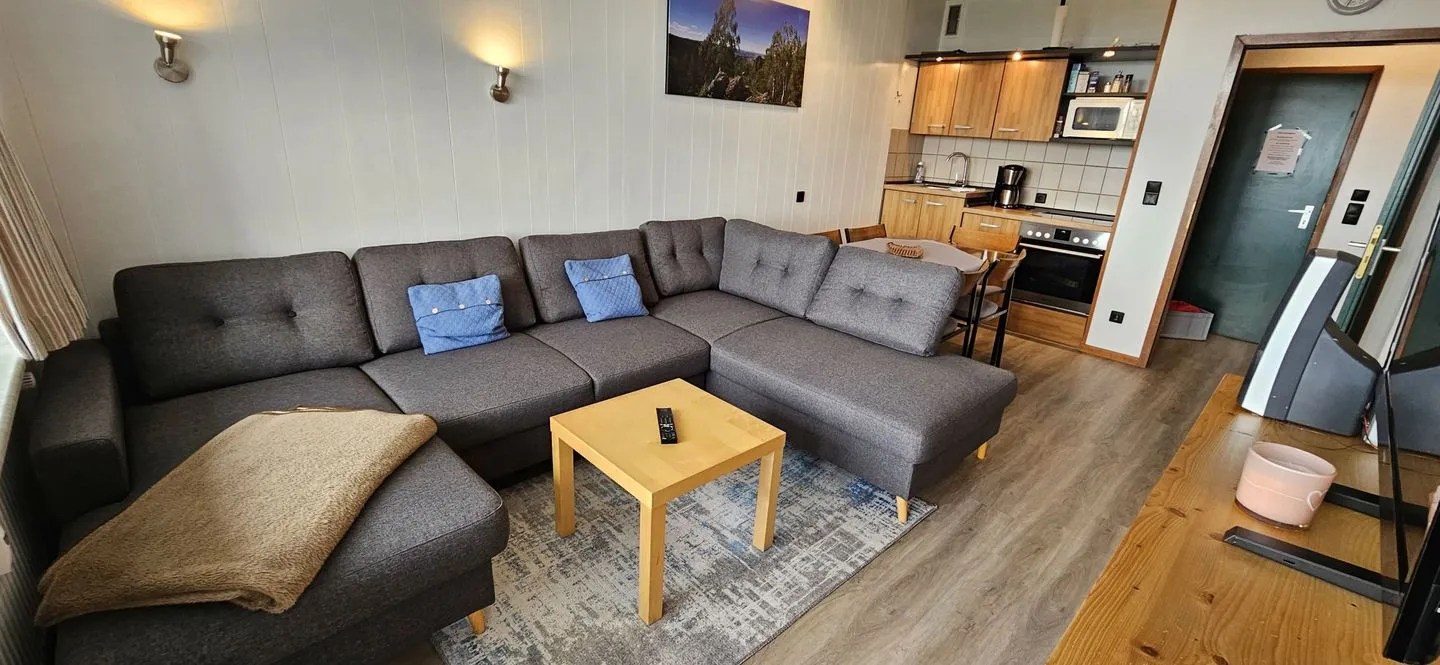 App. 546 Hahnenklee - Wohnzimmer