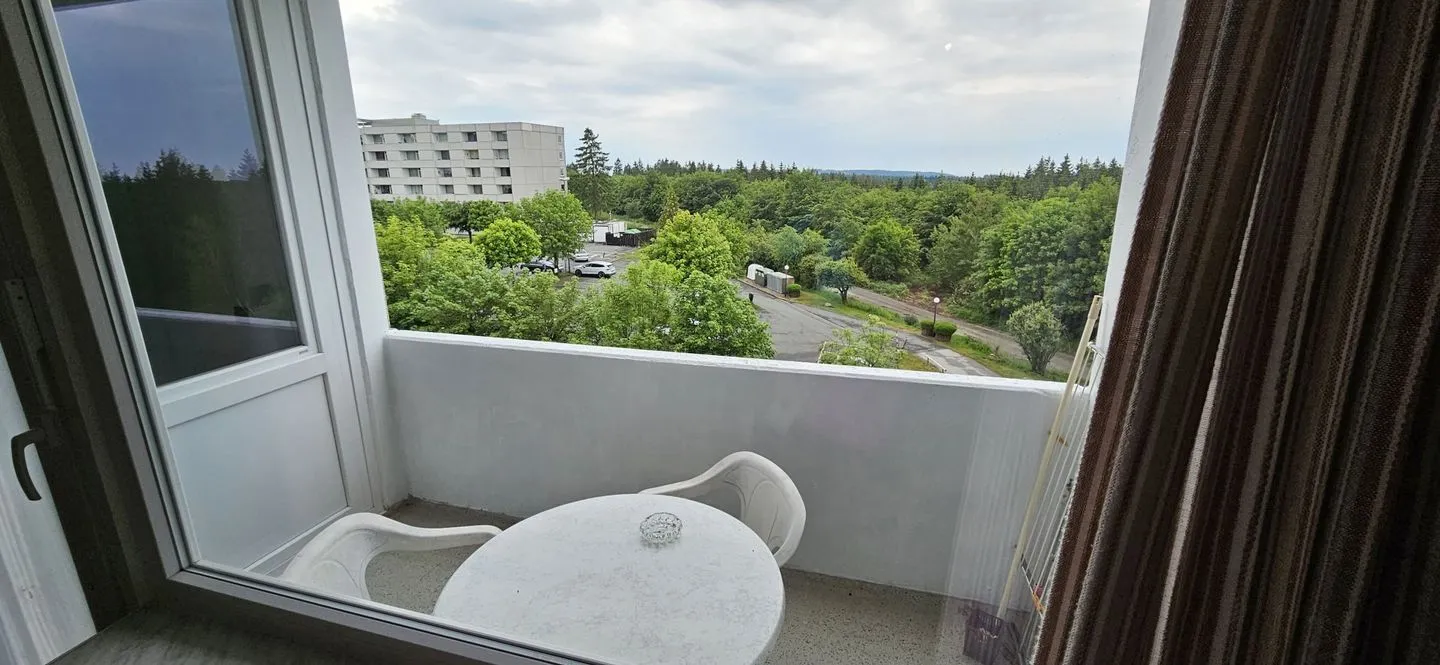 App. 546 Hahnenklee - Balkon