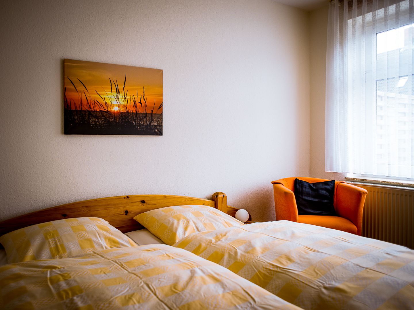 Strand-Zeit Seestern 1 Bild 4