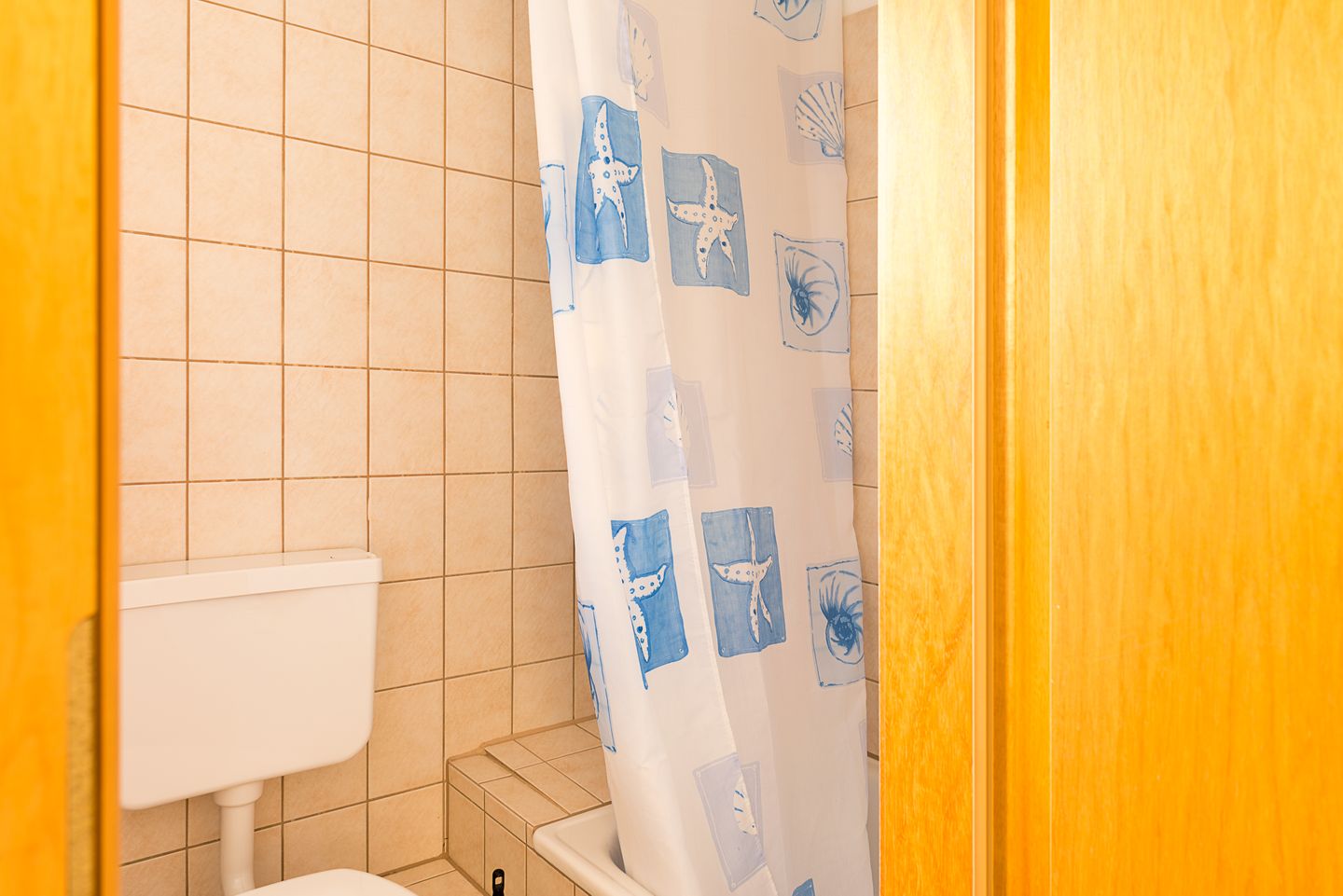 Strand-Zeit Muschel 3 Bild 6