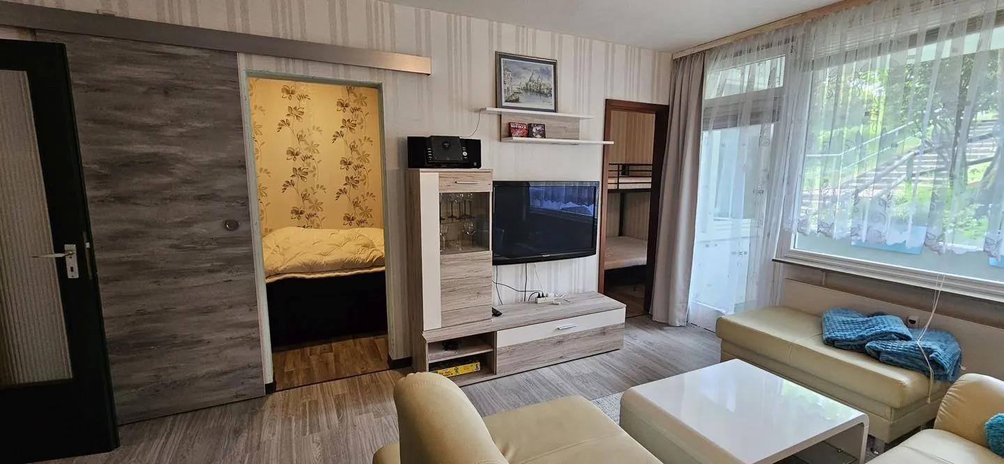 Apartment 3/ 115 Hahnenklee - Wohnzimmer