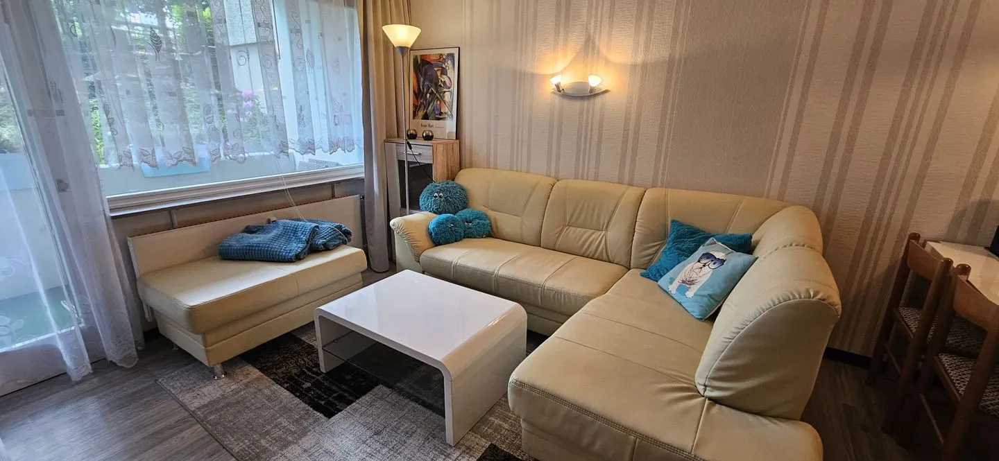 Apartment 3/ 115 Hahnenklee - Wohnzimmer