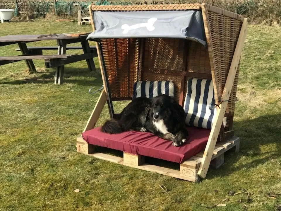 Hüs Sanskiin Ferienwohnung *Hopelfask* Süddorf auf Amrum - Strandkorb für Hunde am Hüs Sanskiin in Süddorf auf Amrum