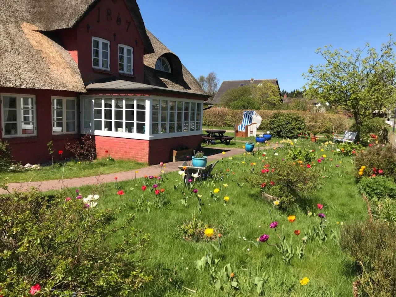 Hüs Sanskiin Ferienwohnung *Hopelfask* Süddorf auf Amrum - Tulpengarten am Hüs Sanskiin in Süddorf auf Amrum
