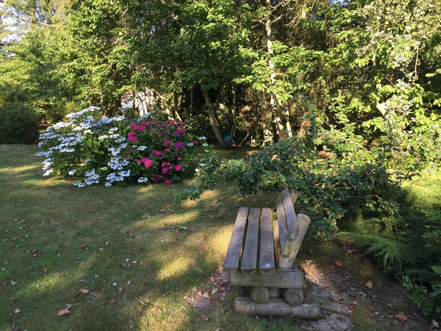 Ferienhaus *Wattprinzessin* Nebel auf Amrum - Garten