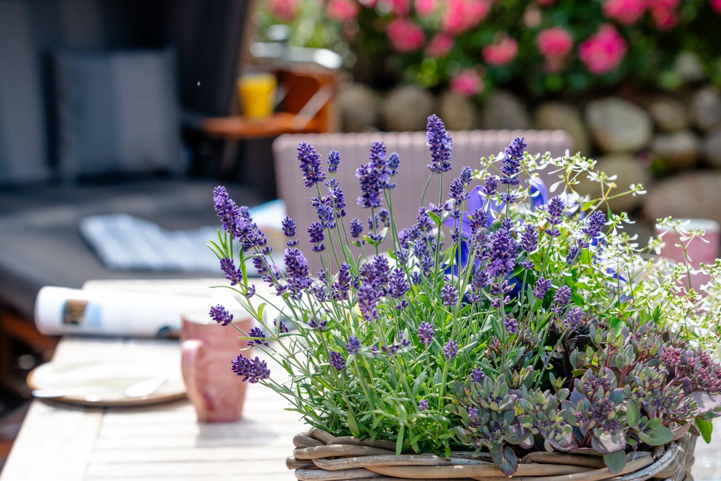  LITZKOW 13802 Morsum - 