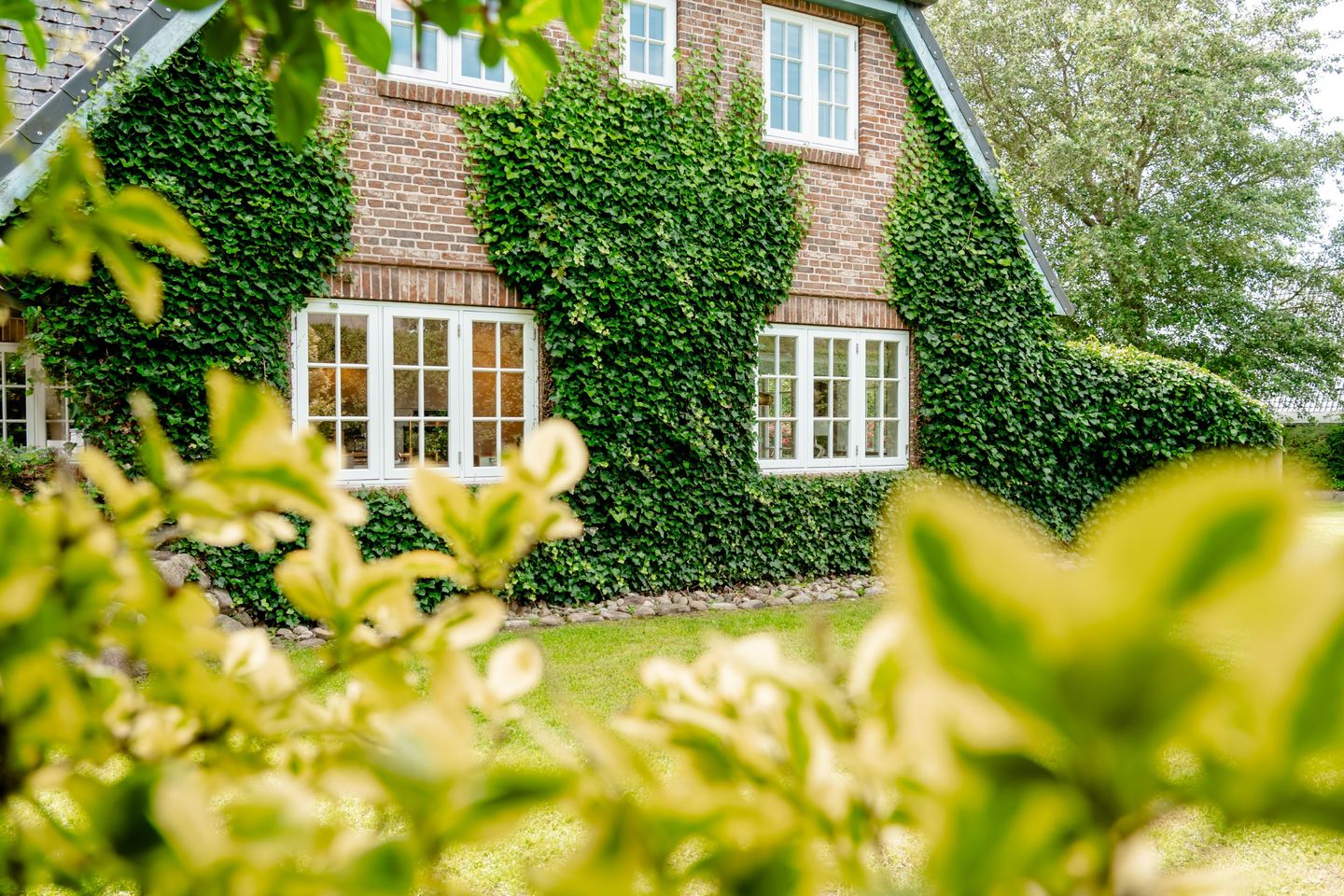  LITZKOW 13802 Morsum - 