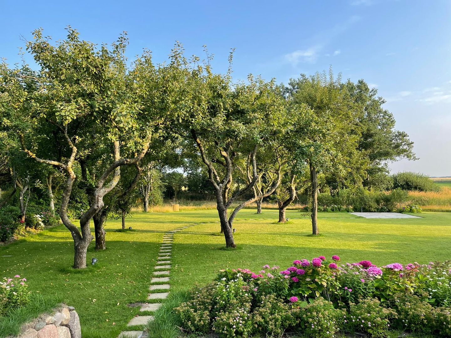  LITZKOW 13305 Morsum - 