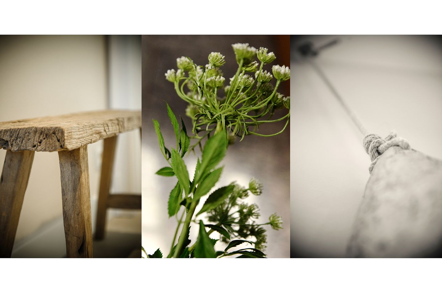  LITZKOW 13907 Morsum - 