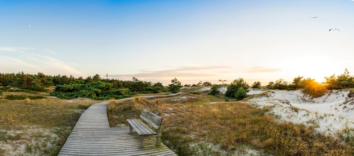Rundweg Darßer Ort im Naturschutzgebiet mit Bank zum Setzen und Verweilen.