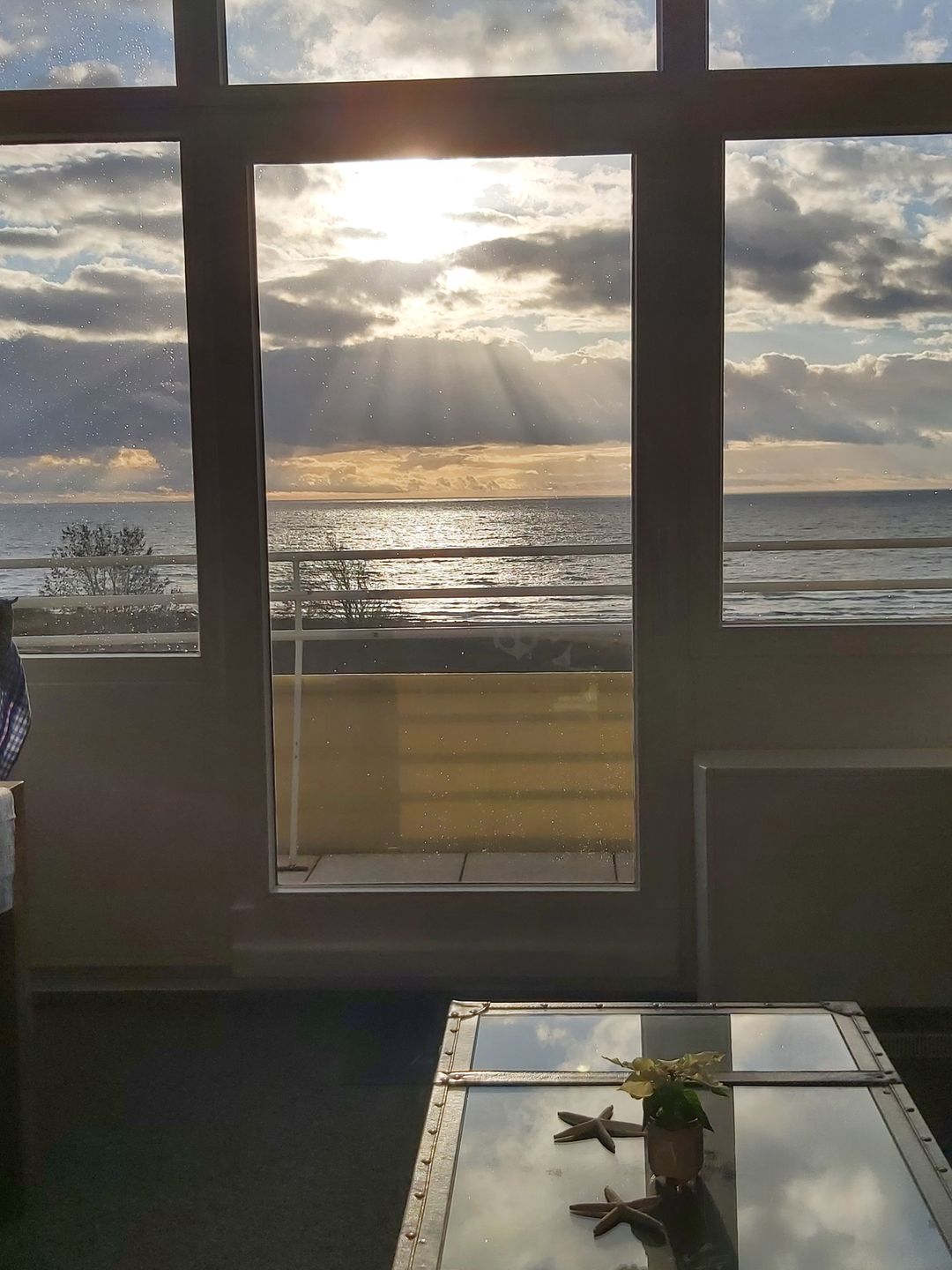 Burgtiefe Südstrand "Windflüchter" Bild 8