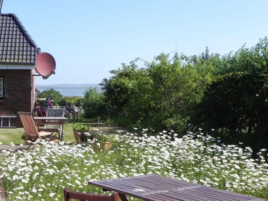 Haus Nordlicht Ferienwohnung *Bi Strun* Nebel auf Amrum -