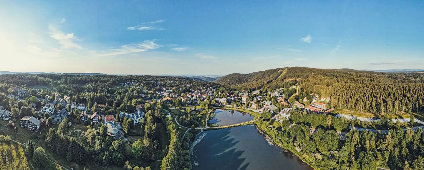 Berg-Klee Hahnenklee - Vogelperspektive