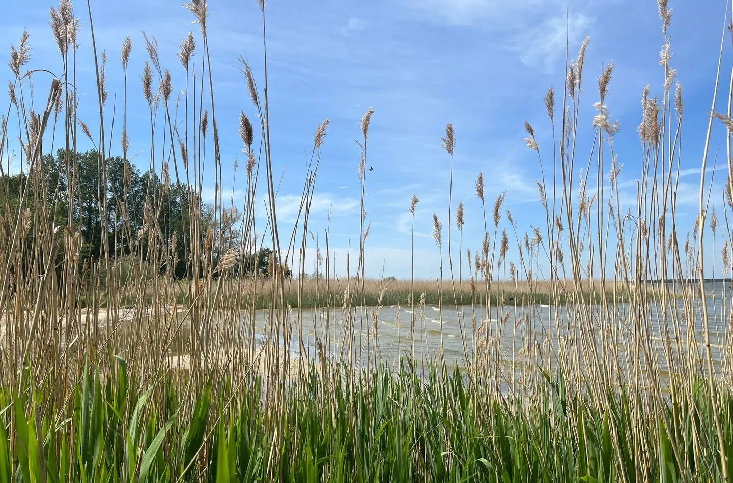  Ostseetraum Fuhlendorf - Landschaft