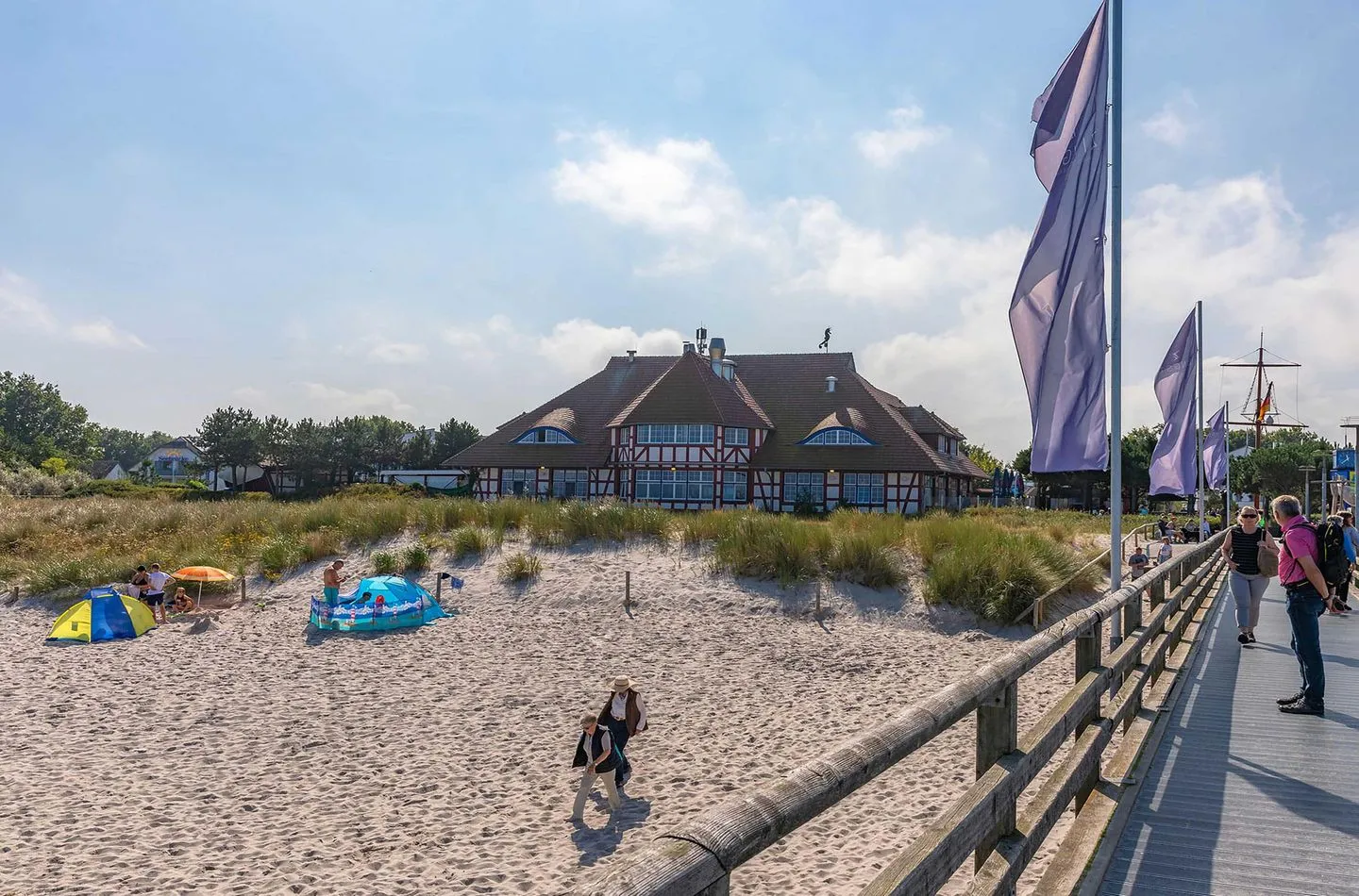  Deichrose Zingst - Strand